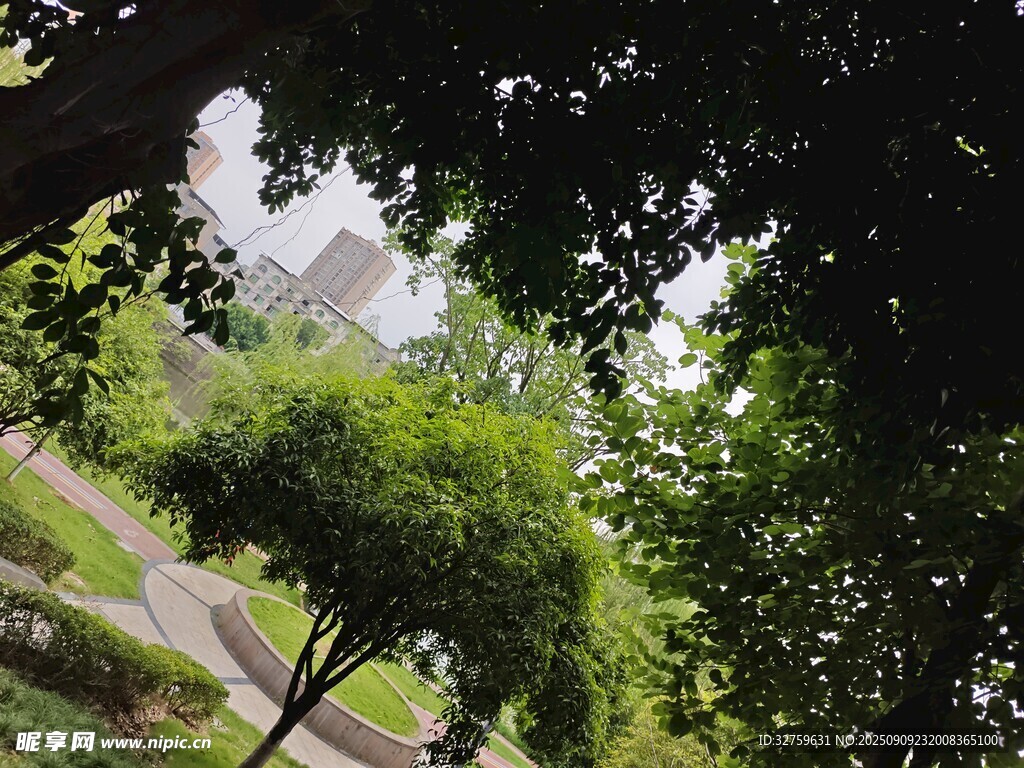 綠意盎然的公園景致