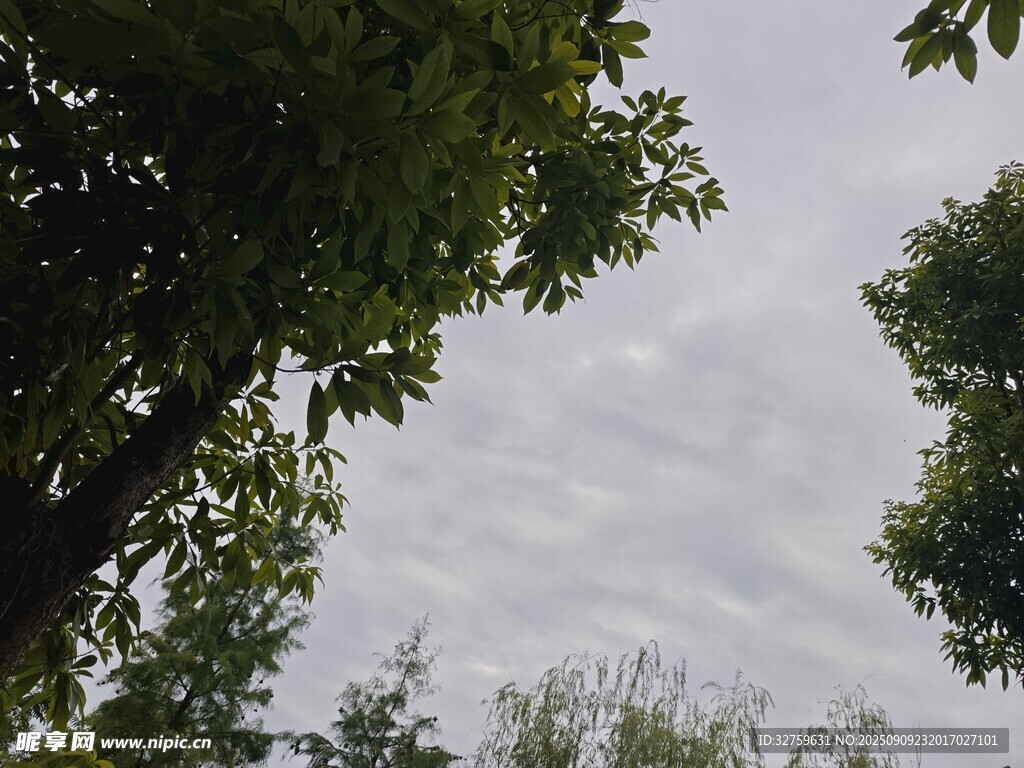 綠樹掩映下的灰白云天