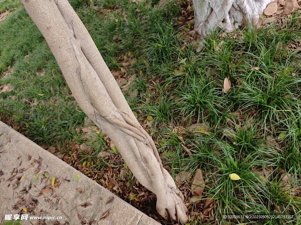 雕刻木杖細(xì)節(jié)特寫