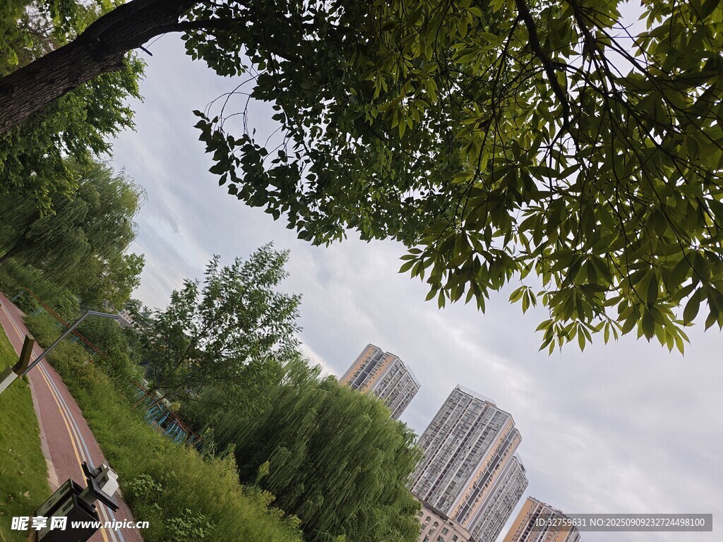 城市綠蔭下的自然景致