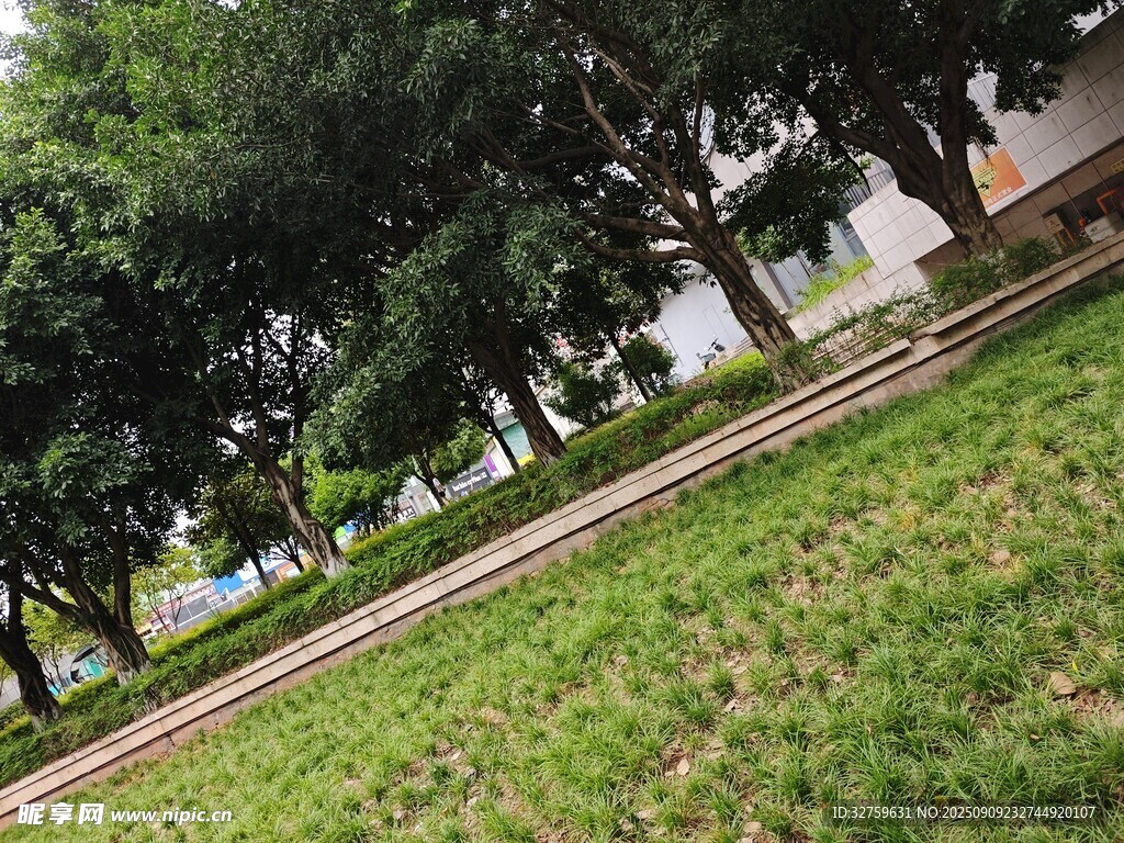 綠意盎然的戶外公園景致