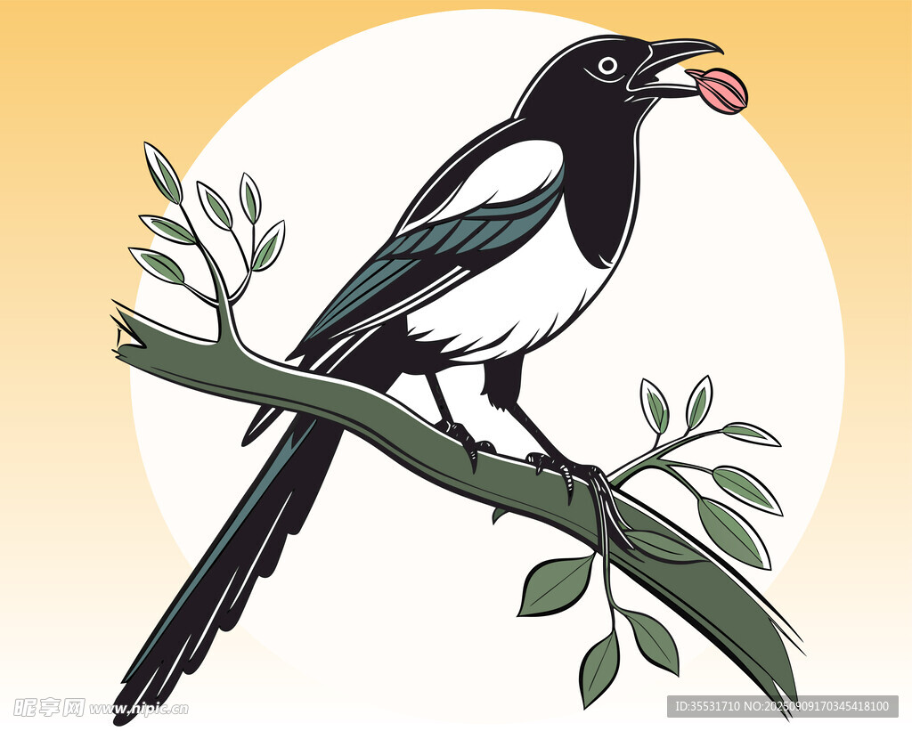 枝頭喜鵲插圖