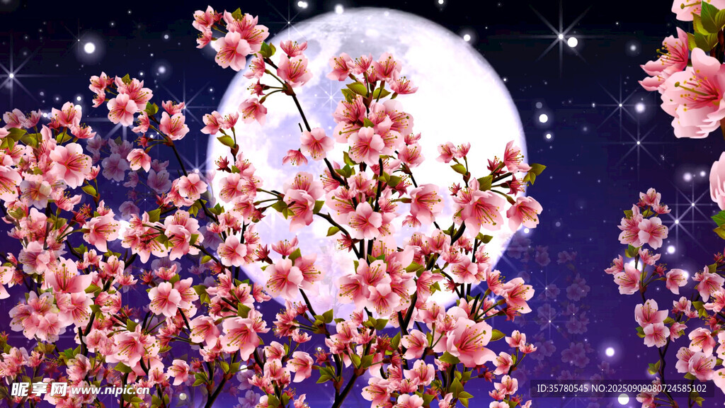 月夜繁花景