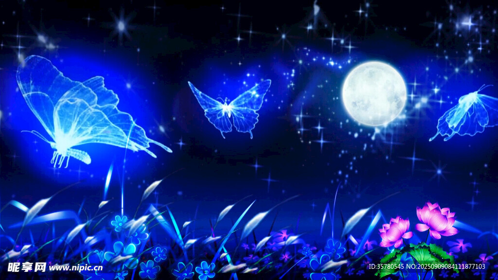 夢幻夏夜精靈與星空美景