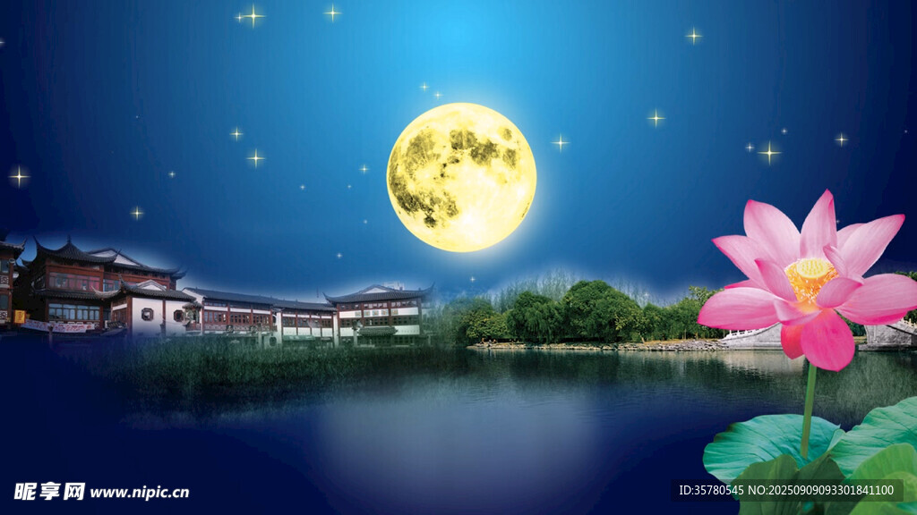 月夜荷花景