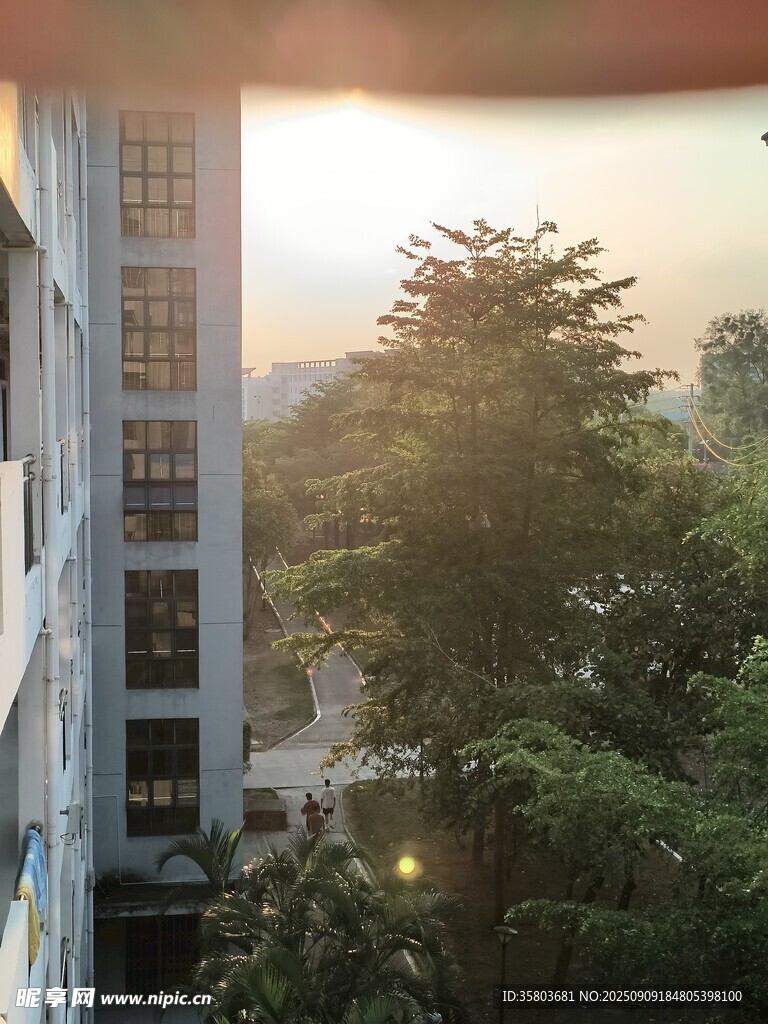 光