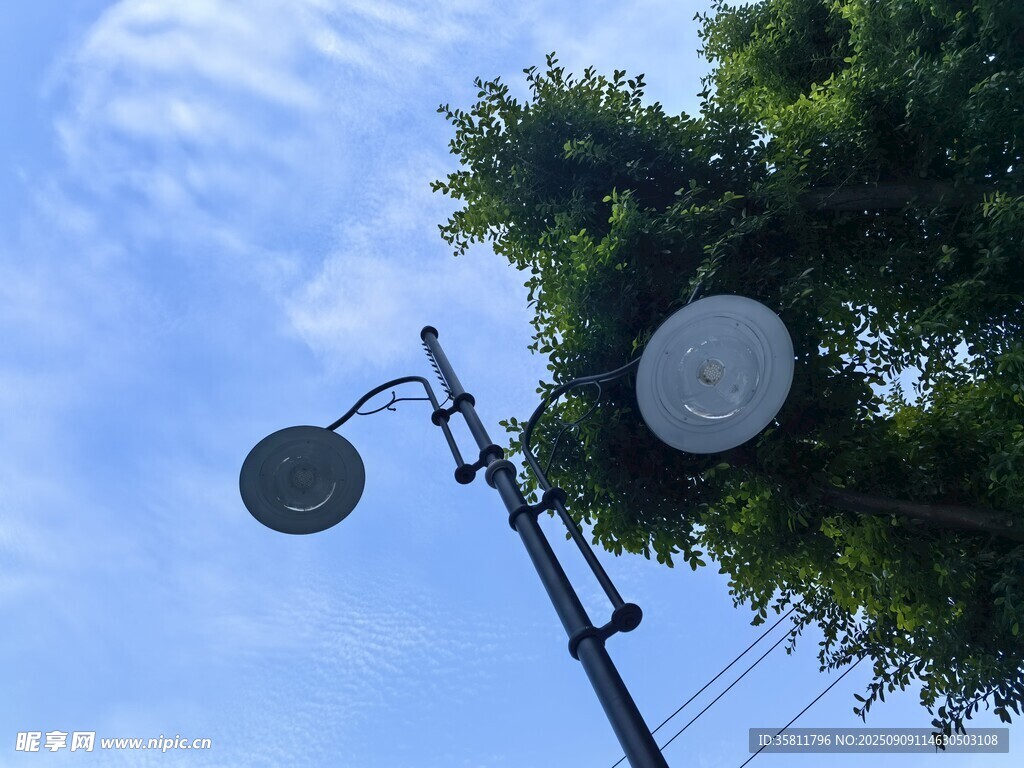 電線桿上的雙圓盤裝置