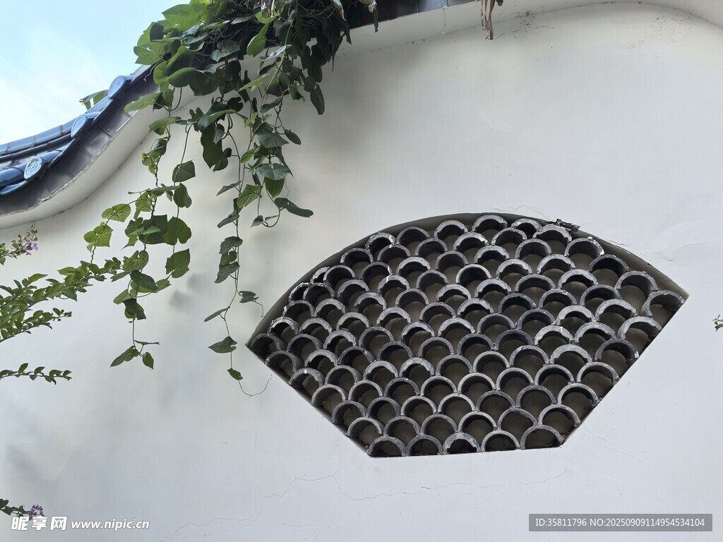 中式白墻鏤窗綠植景致