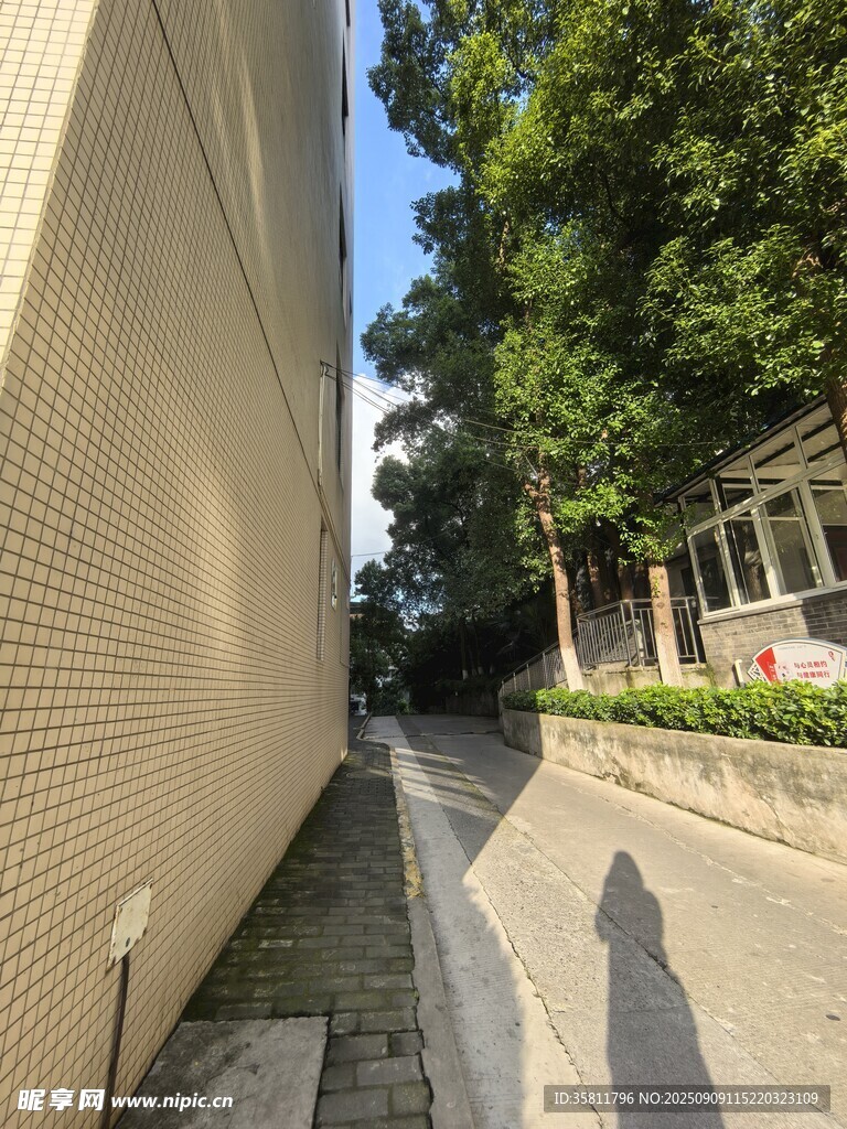 戶外墻邊綠蔭小道