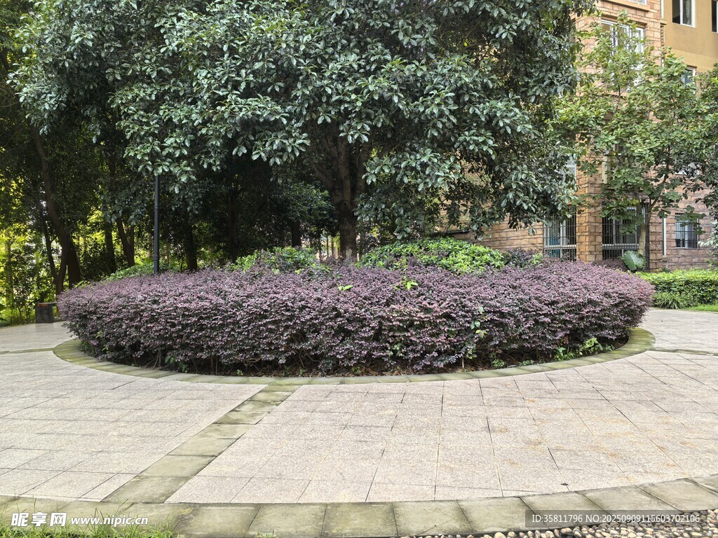 小區(qū)內的紫色花壇景觀
