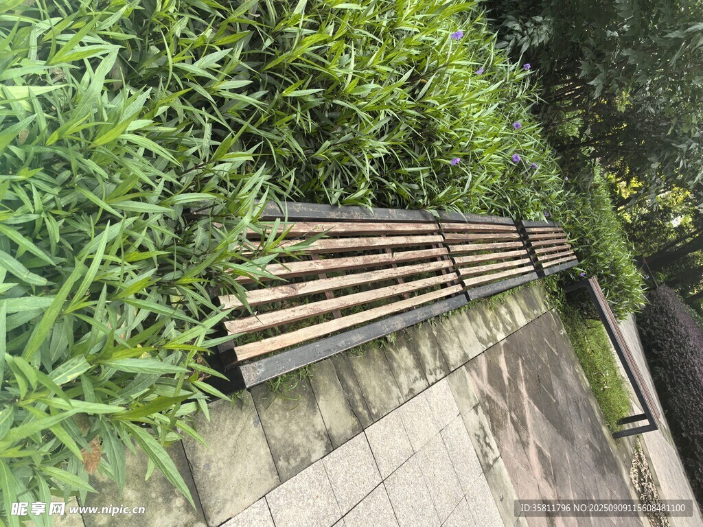 戶外木質長椅與綠植景觀