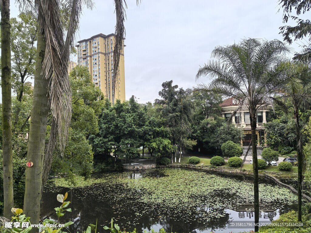 湖畔綠植環(huán)繞的靜謐景致
