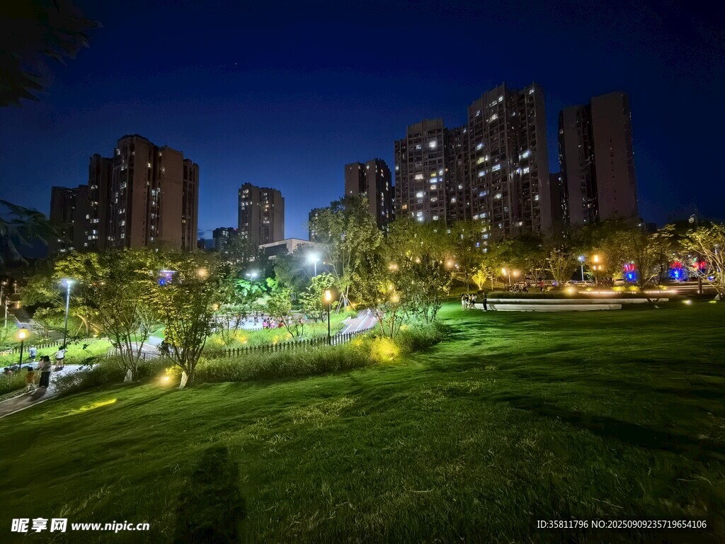 城市夜景下的綠地與高樓