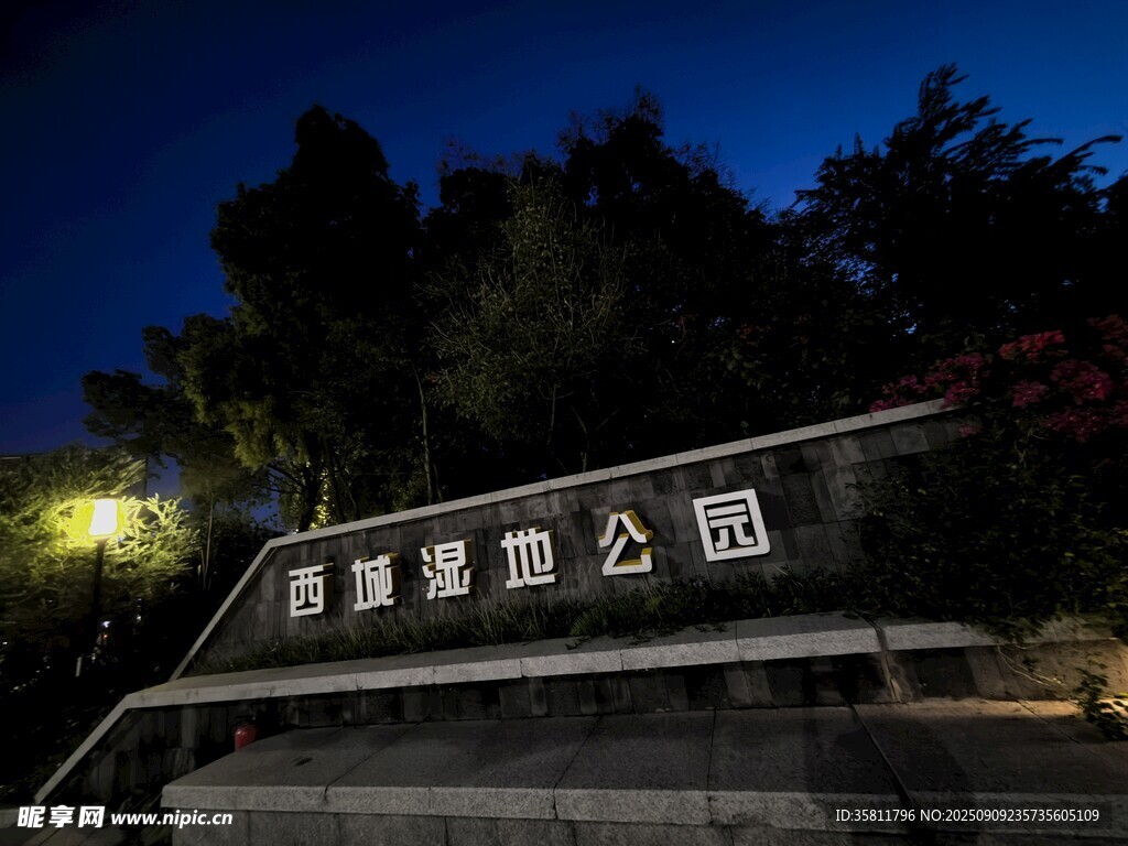 夜幕下的濕地公園