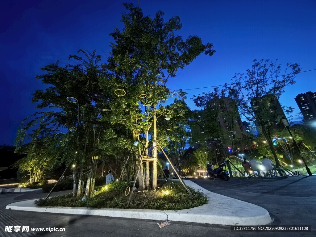 夜晚公園的靜謐樹(shù)木景觀
