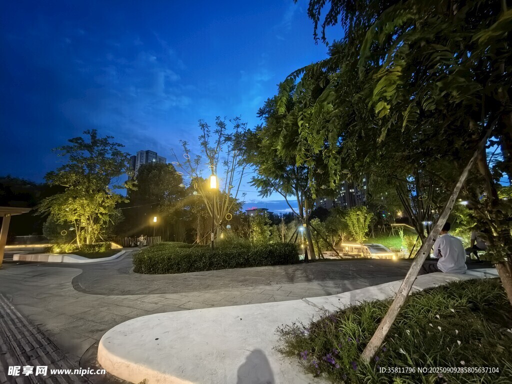 夜晚的靜謐花園景觀