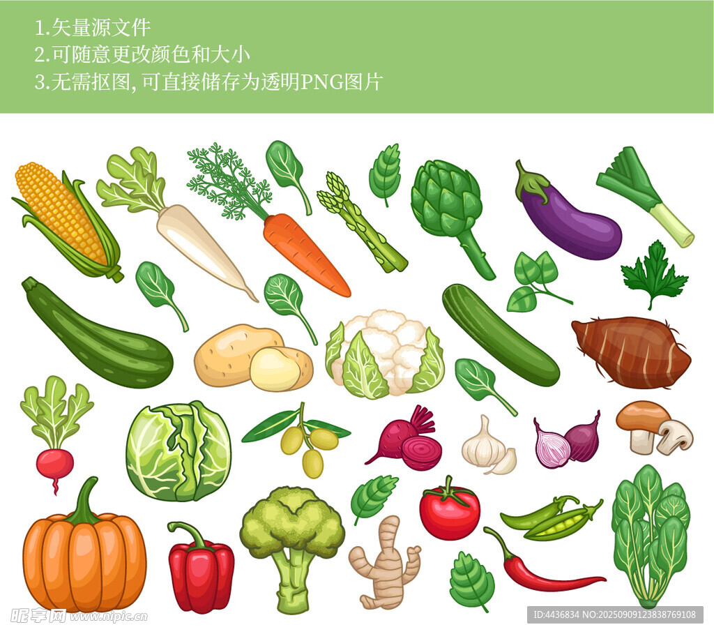 多彩蔬菜插畫集合