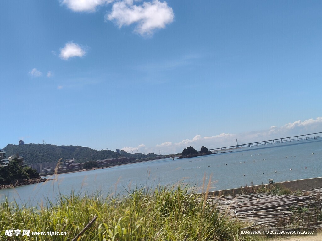 海濱風(fēng)光藍(lán)天白云與綠植