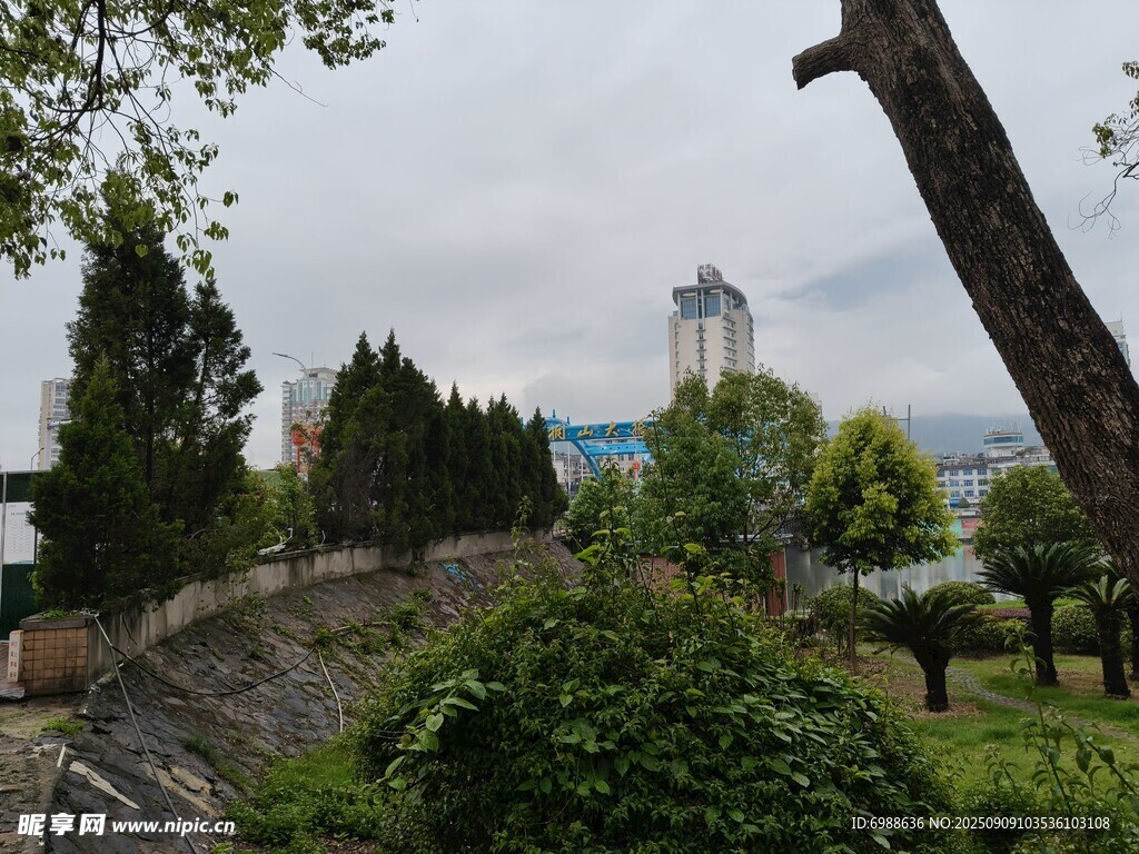 公園綠植與遠處建筑景觀
