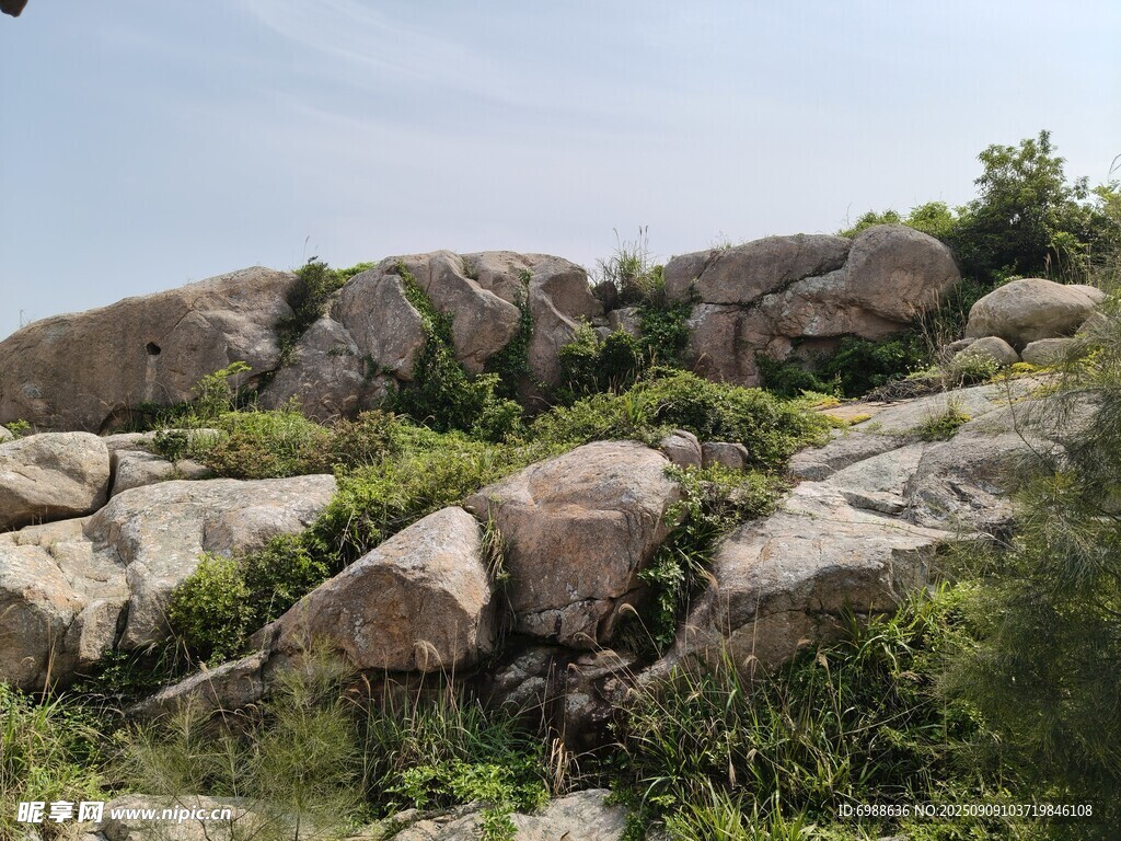 嶙峋山石與綠意相伴