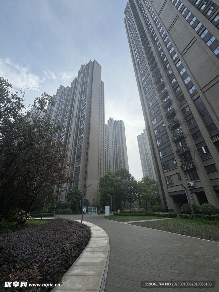 城市高樓旁的林蔭道路