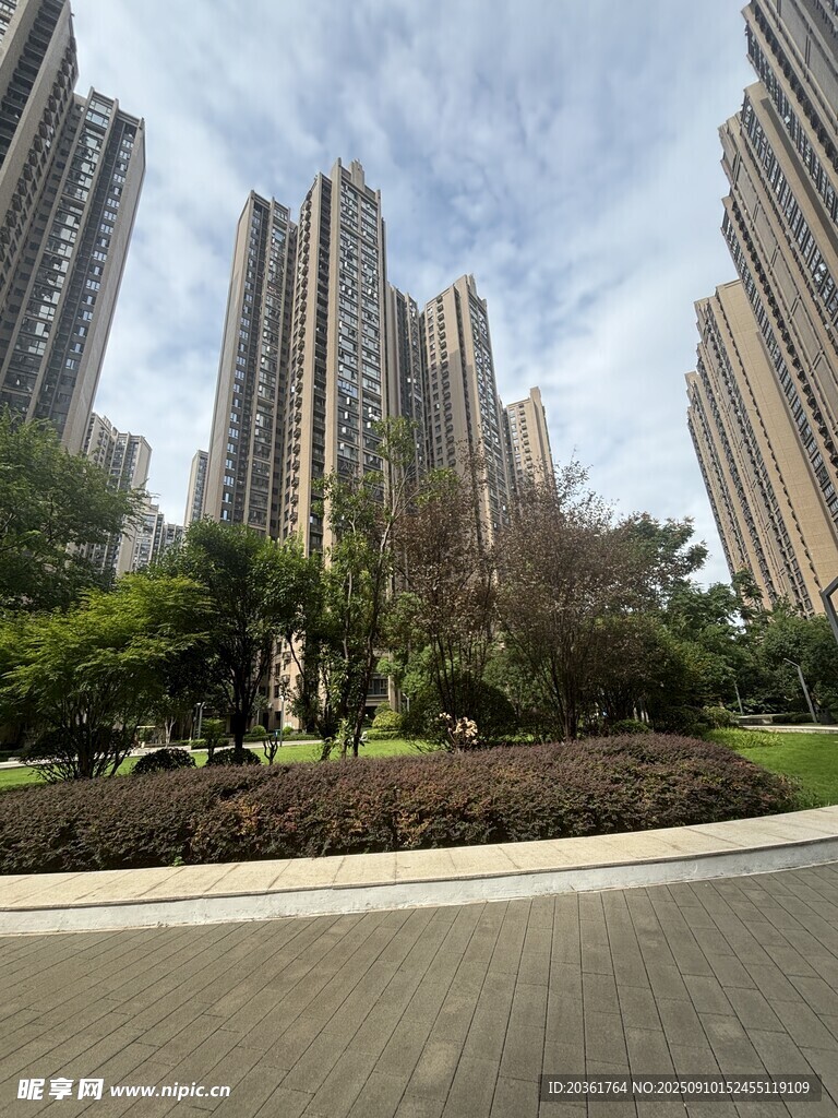城市高樓旁的綠植景觀