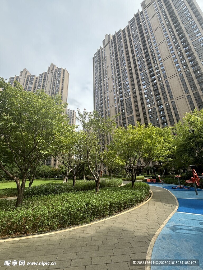 城市中的綠植與高層景觀