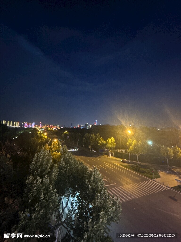 夜晚城市道路與綠植景觀