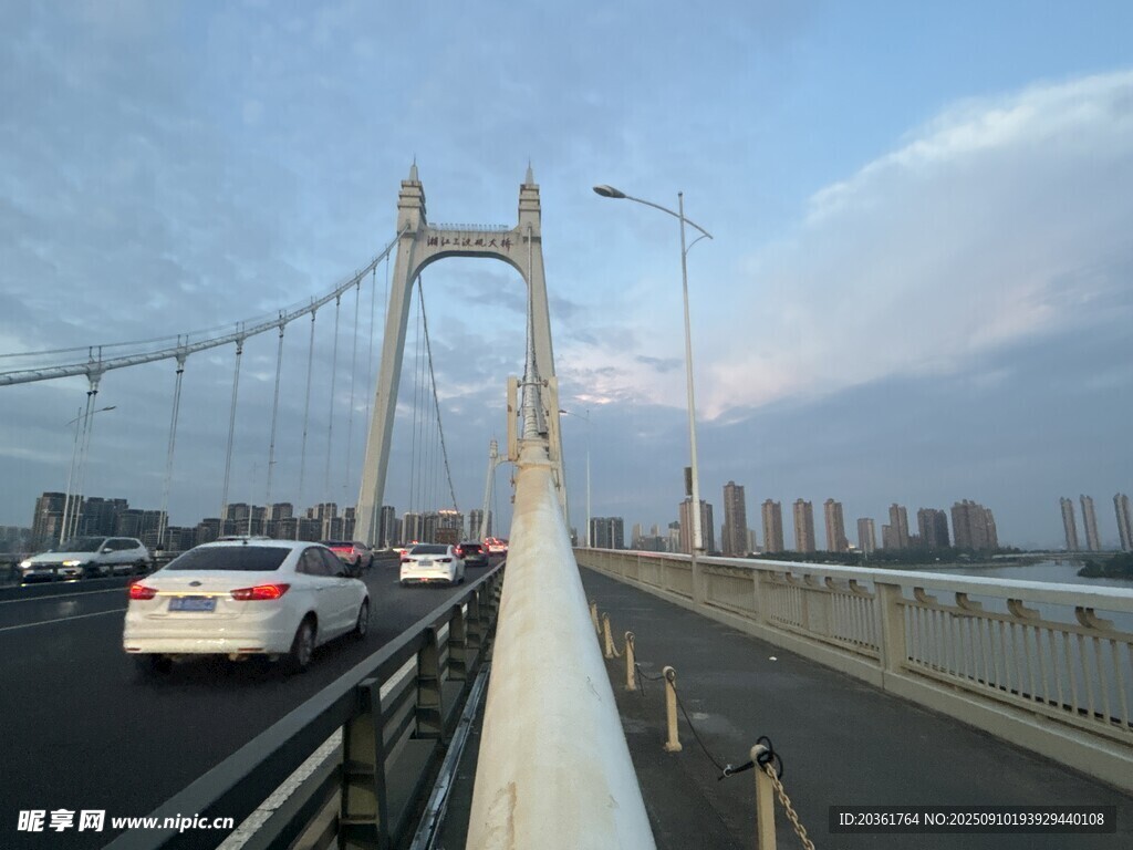城市大橋上行駛的車輛