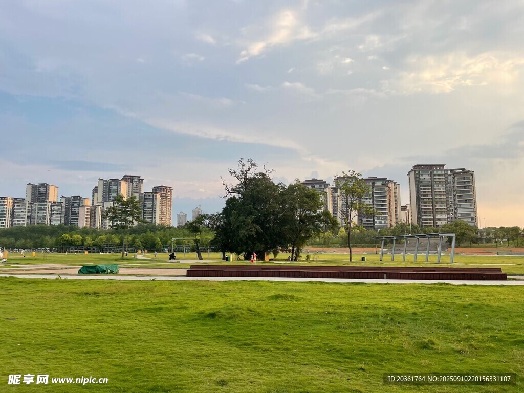 城市綠地旁的高樓景觀
