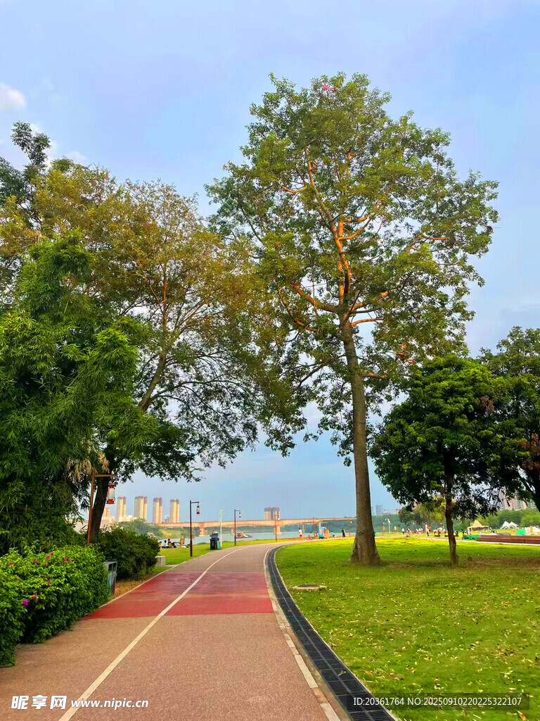 公園中的紅色步道與綠樹