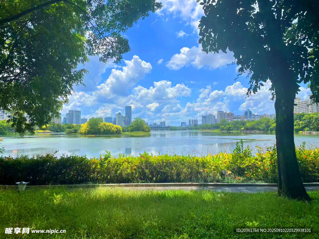 湖畔綠蔭下的清新自然景