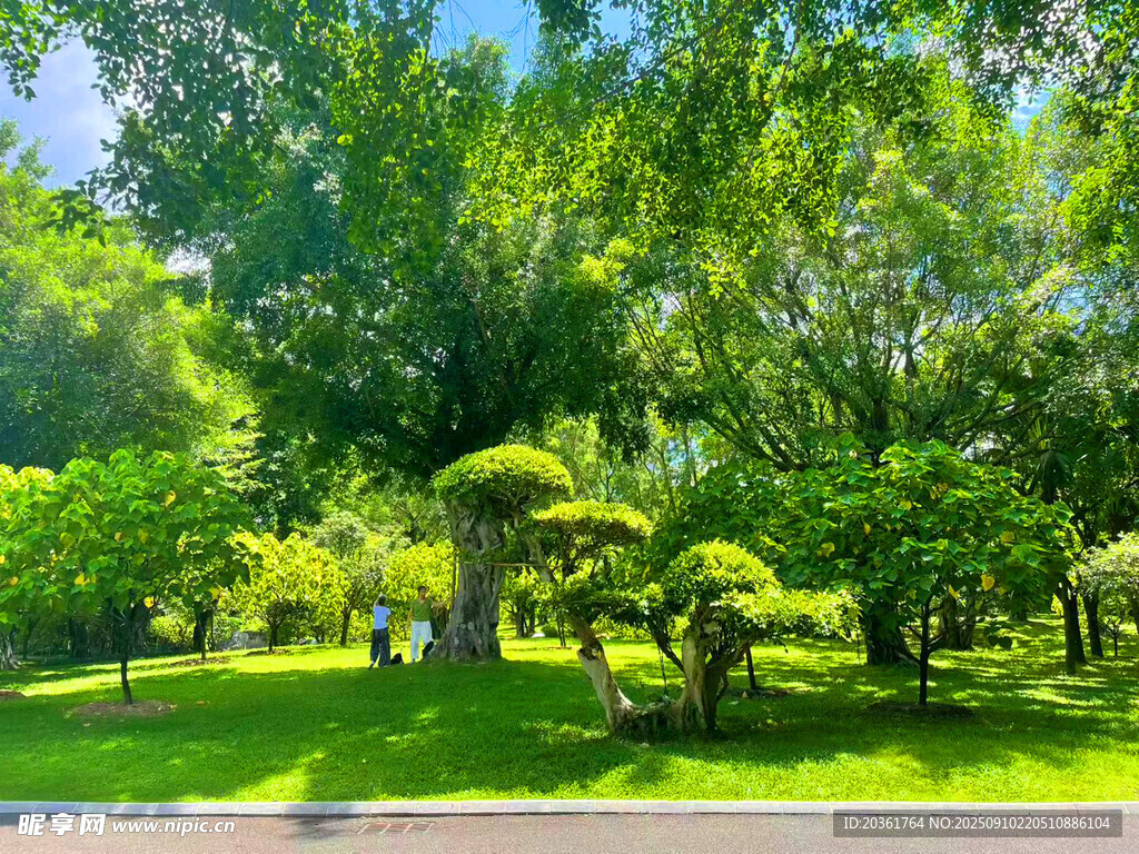 綠意盎然的園林景觀