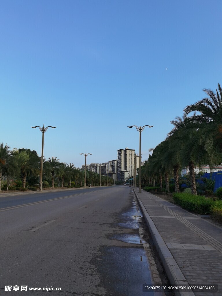 寬闊道路旁的綠植與路燈