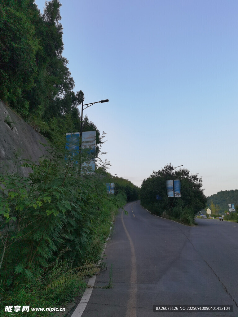 山間公路旁的蔥郁綠植