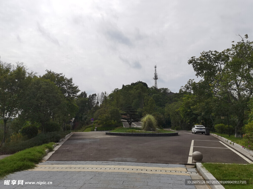 公園中的開(kāi)闊道路與綠樹(shù)
