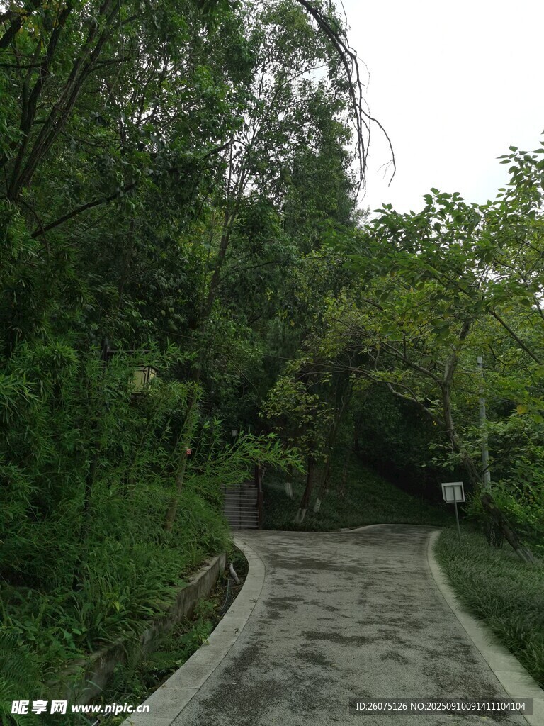 林間蜿蜒小徑