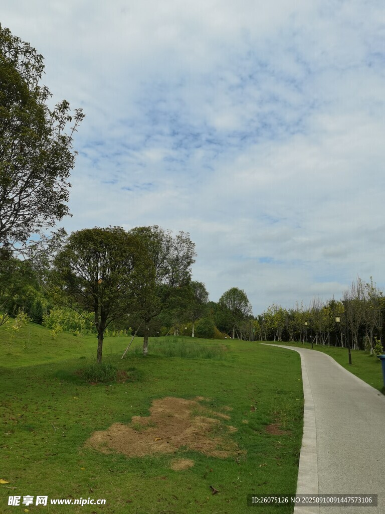 公園小徑旁的綠意景致