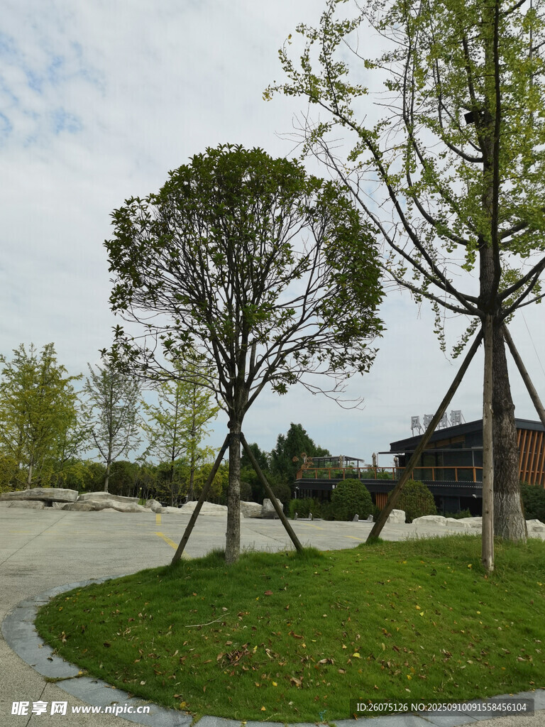 城市街角的綠化景觀