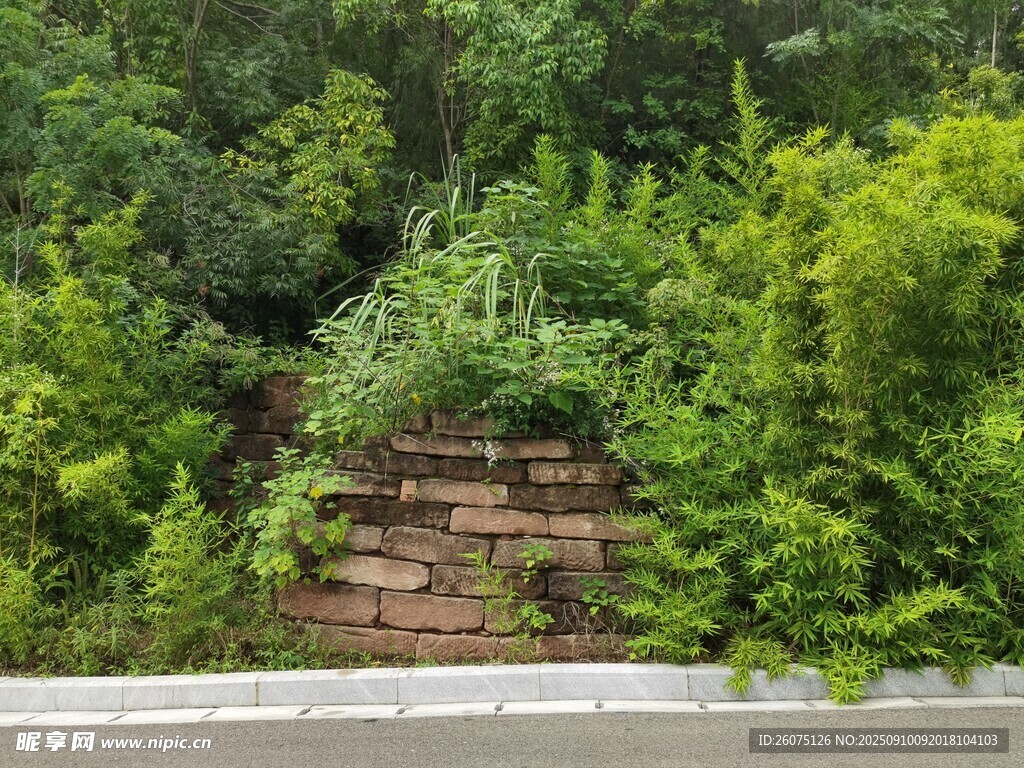 林間磚塊堆砌綠意環(huán)繞