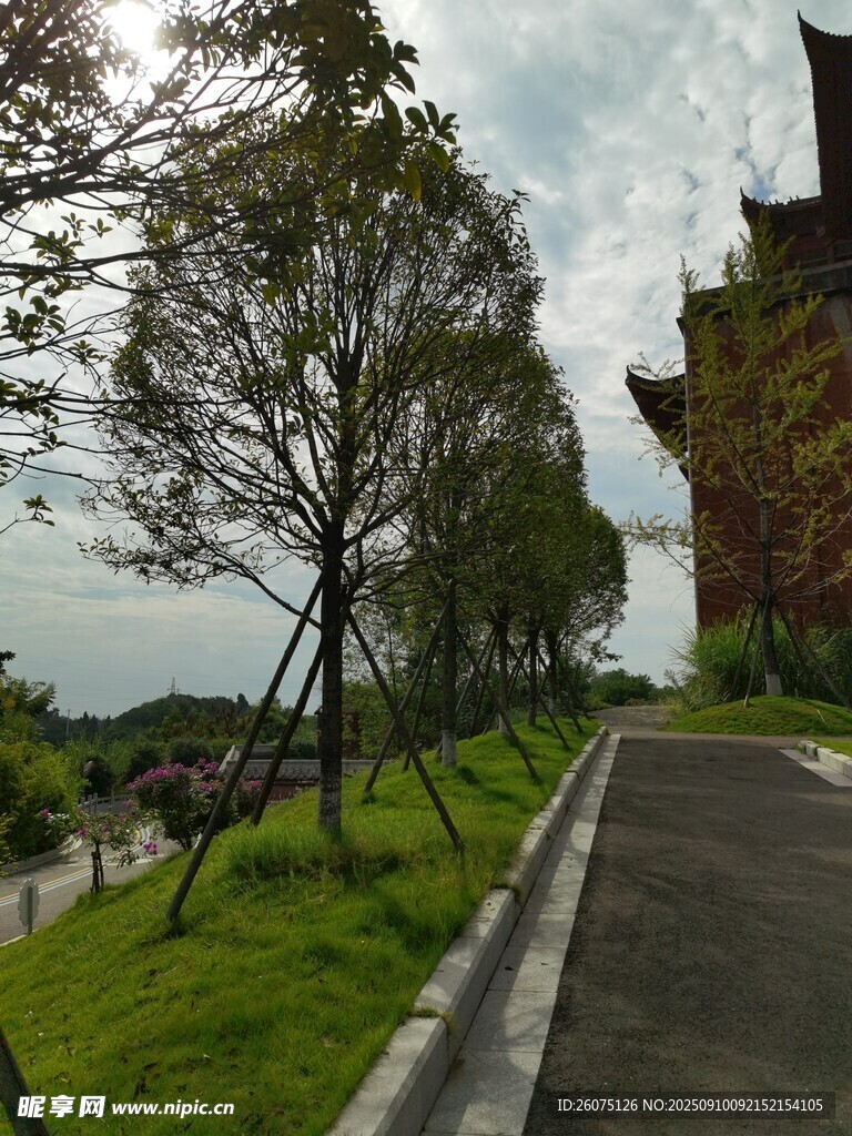 中式建筑旁的綠意小道