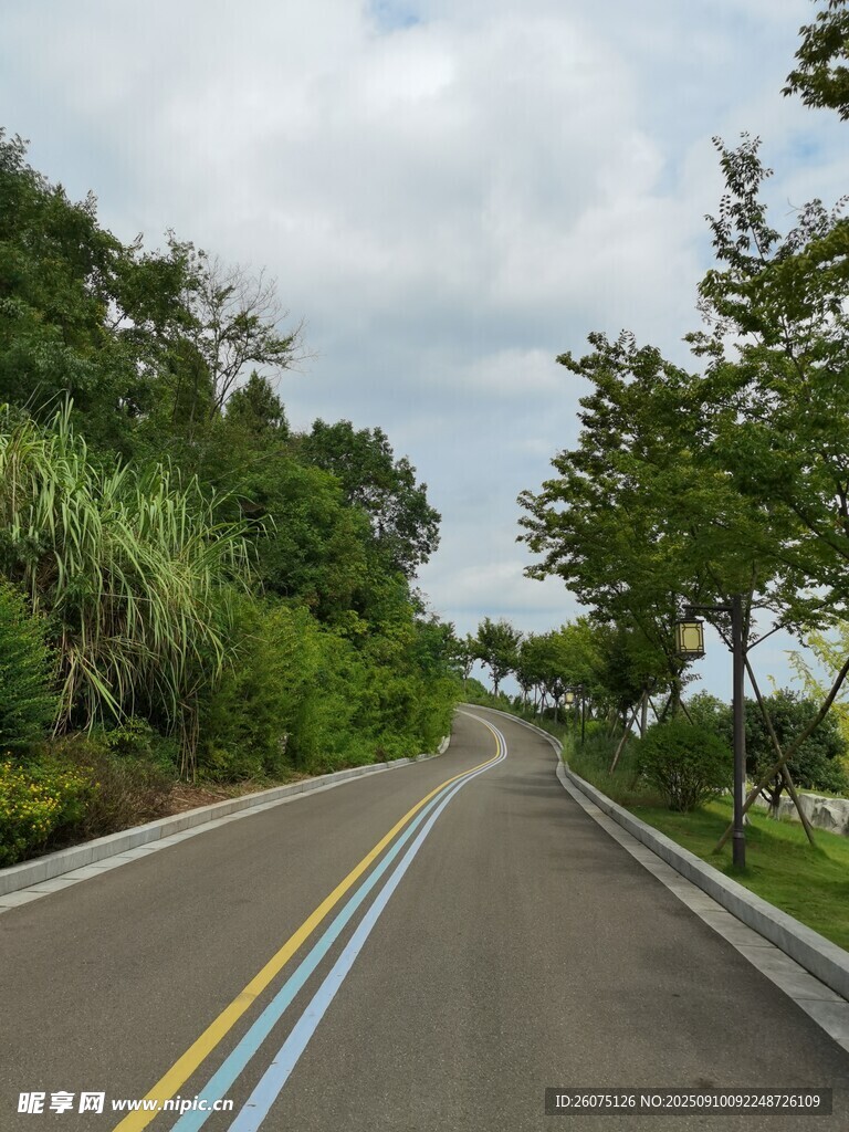 蜿蜒公路旁綠意盎然