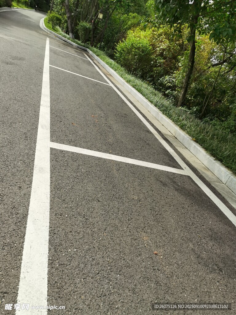 道路旁的白色標(biāo)線停車位