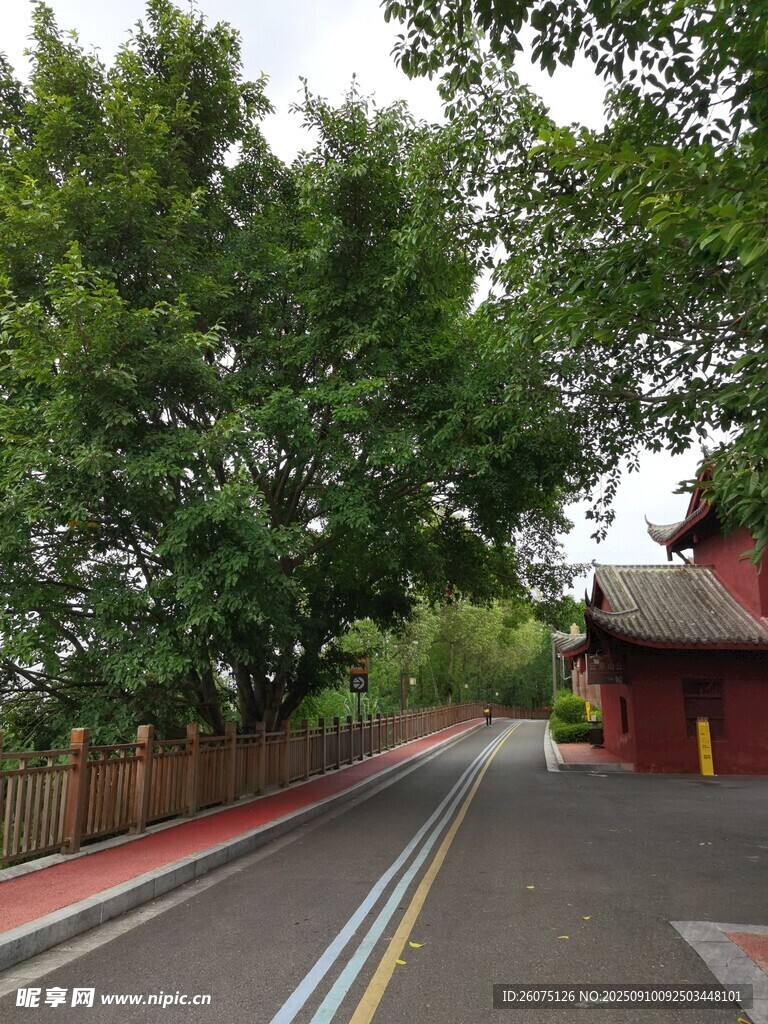 綠樹環(huán)繞的寧?kù)o道路