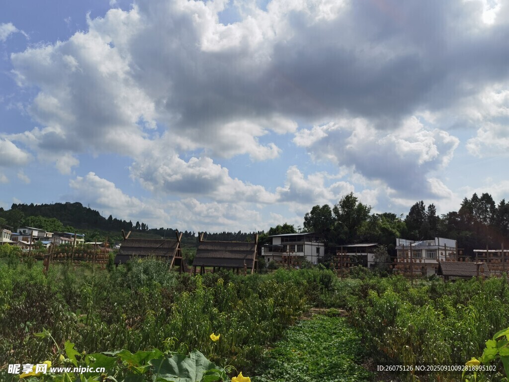 鄉(xiāng)村田野風(fēng)光美景