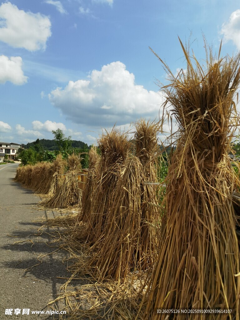 稻草堆田園詩意景象