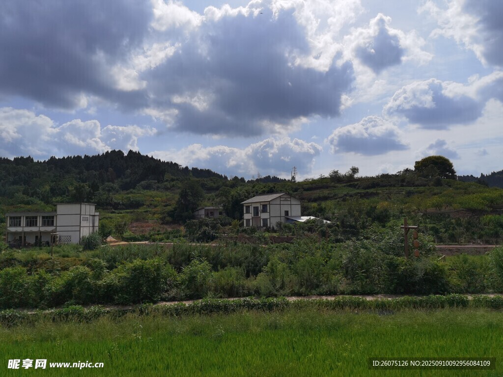 鄉(xiāng)村綠野間的寧靜景致