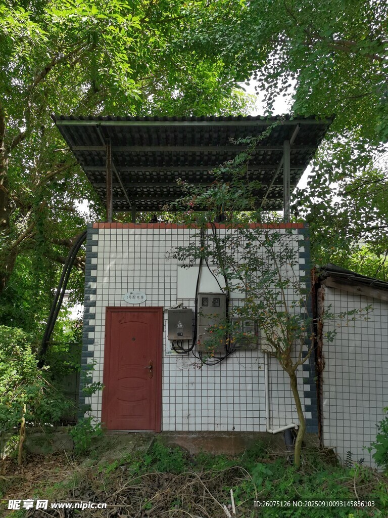 林間小屋自然中的靜謐角落