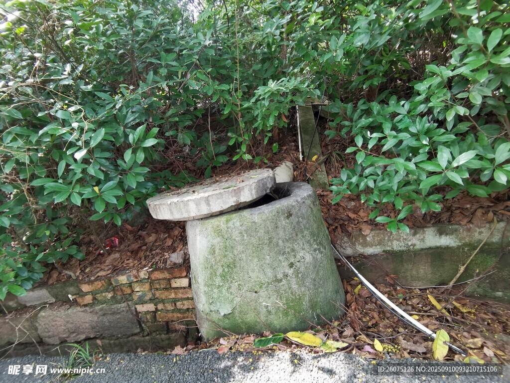 廢棄石箱置于綠植環(huán)繞處