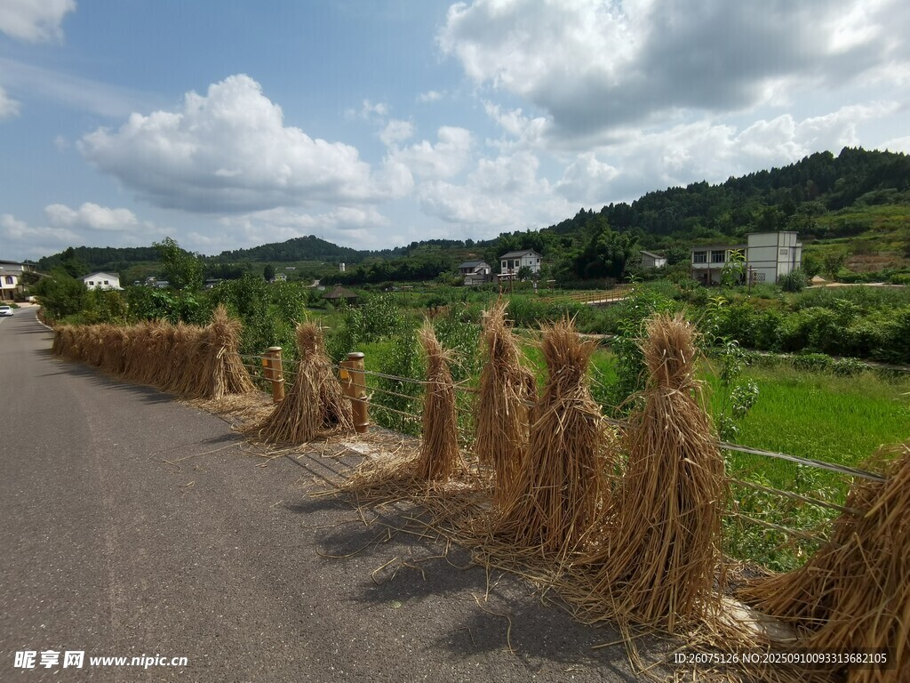 鄉(xiāng)村路旁的稻草堆景觀